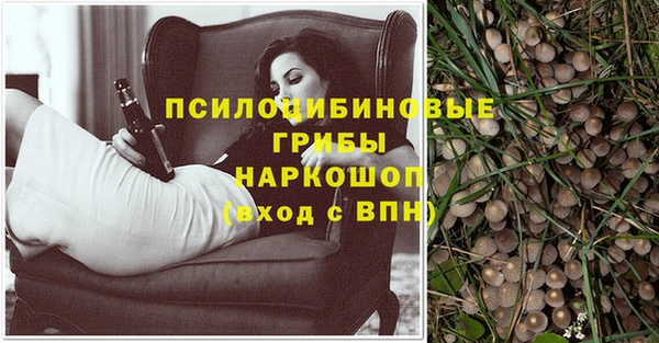 apvp Богданович