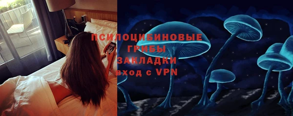 прущие грибы Магадан