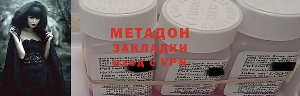 прущие грибы Магадан