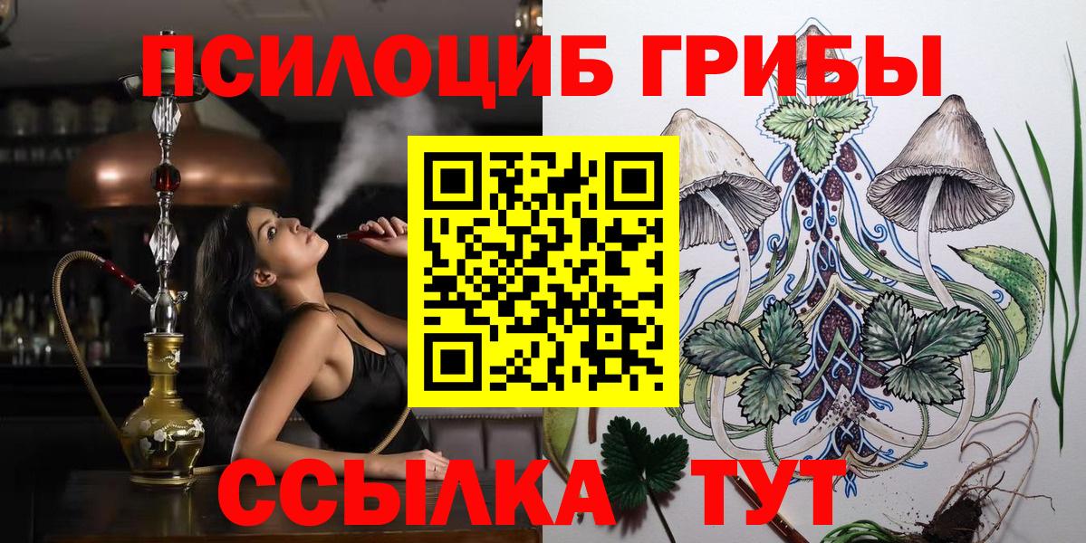 Галлюциногенные грибы Psilocybine cubensis  Галлюциногенные грибы мицелий  Вход с VPN  Сарапул 